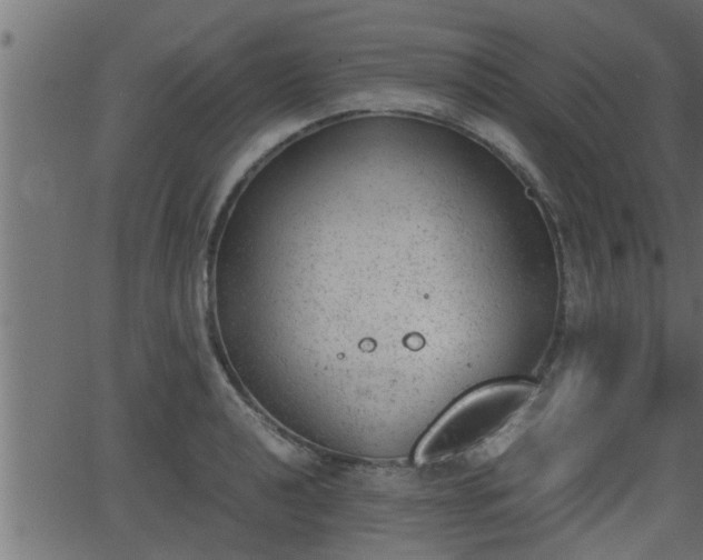 X0000062871040200601171416