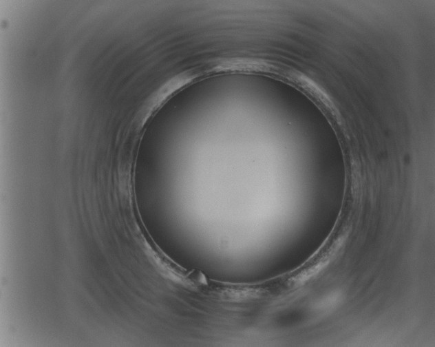 X0000062871041200601171416