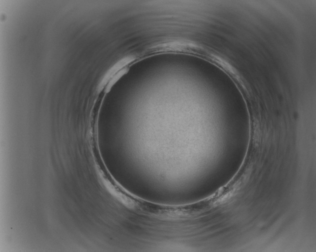 X0000062871042200601171416