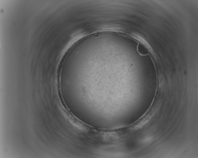 X0000062871043200601171416