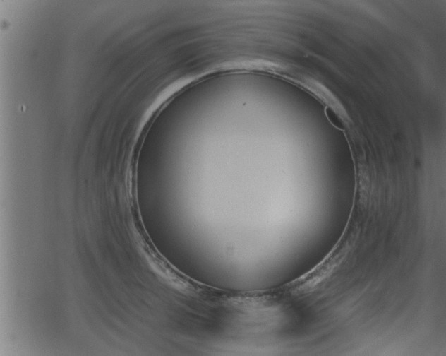 X0000062871044200601171416