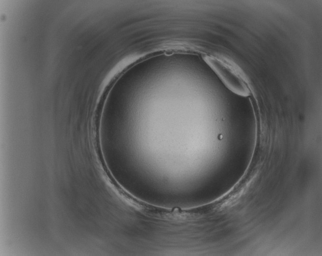 X0000062871045200601171416