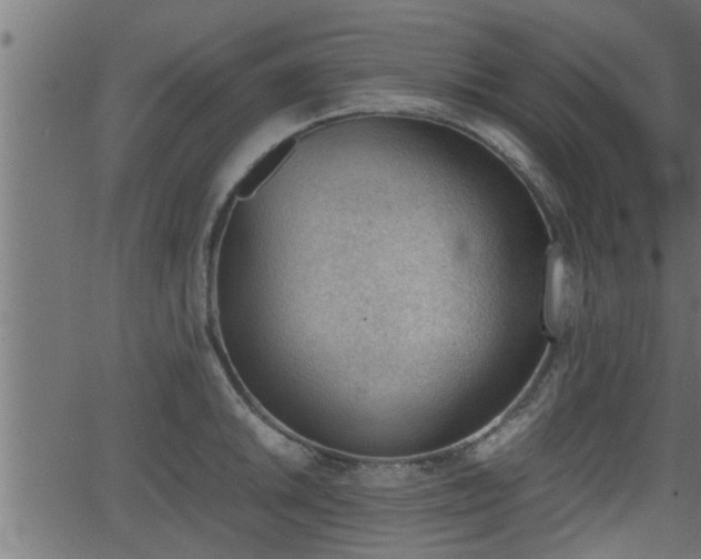 X0000062871046200601171416