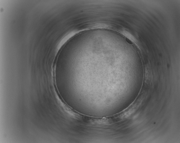 X0000062871047200601171416