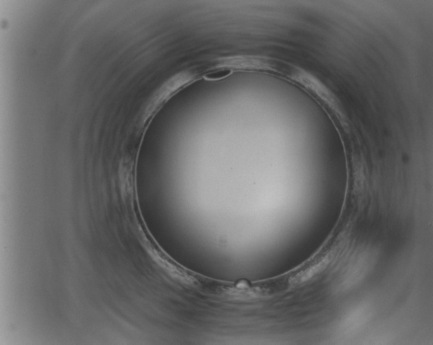 X0000062871049200601171416