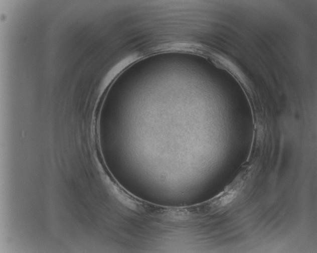 X0000062871050200601171416