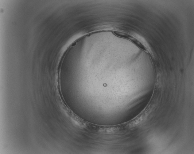 X0000062871051200601171416