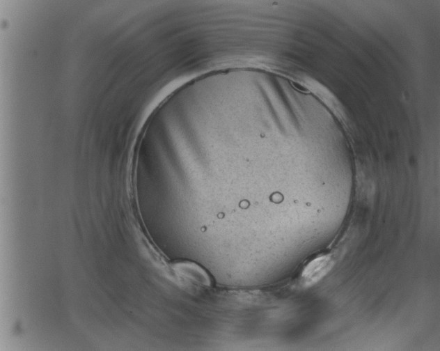 X0000062871052200601171416