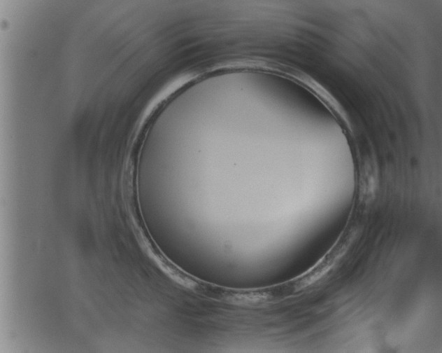 X0000062871053200601171416