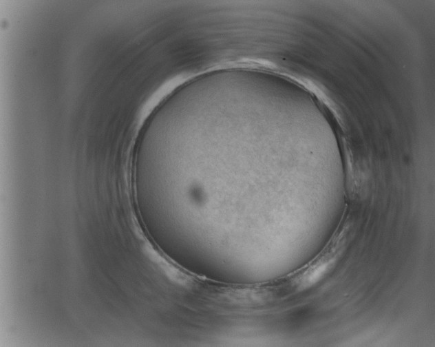 X0000062871054200601171416