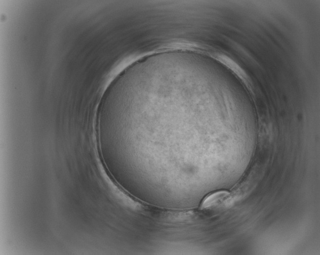 X0000062871055200601171416