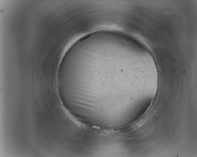 X0000062871056200601171416