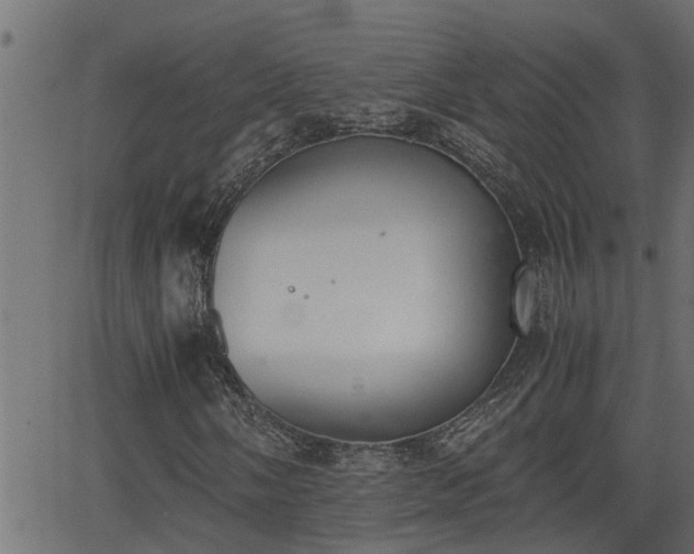 X0000062871058200601171415