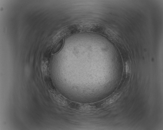 X0000062871059200601171415