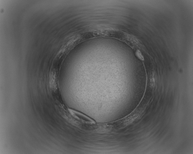 X0000062871060200601171415