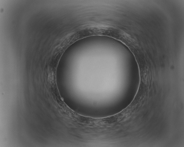 X0000062871061200601171415