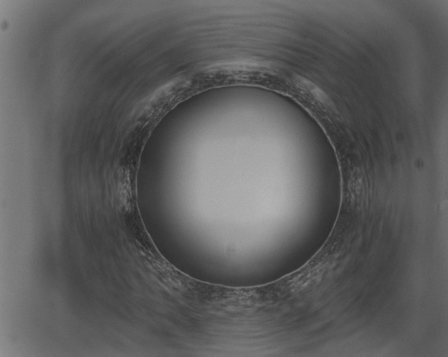 X0000062871062200601171415