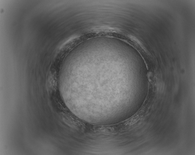 X0000062871063200601171415