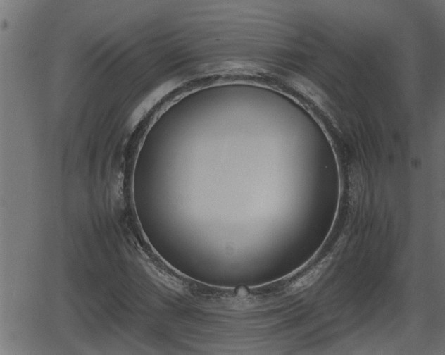 X0000062871066200601171415