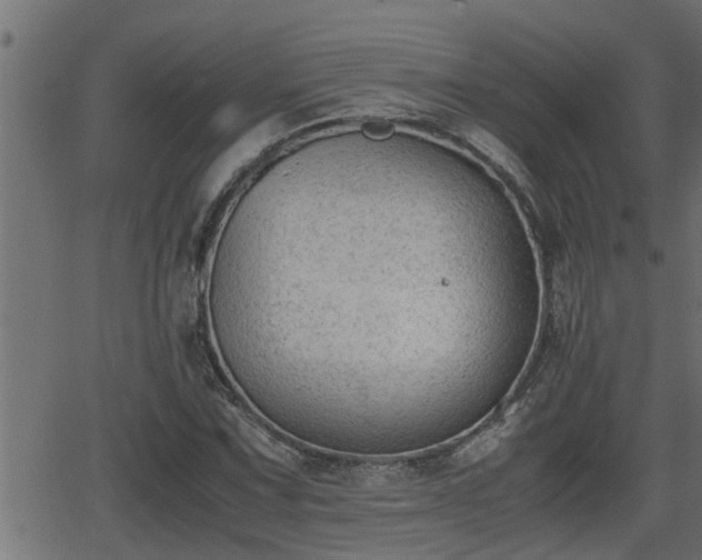 X0000062871067200601171415