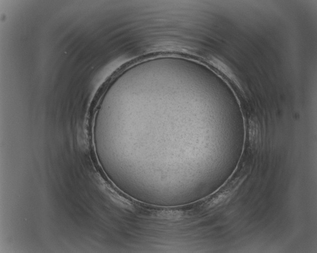 X0000062871068200601171415