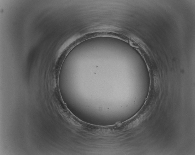 X0000062871069200601171415