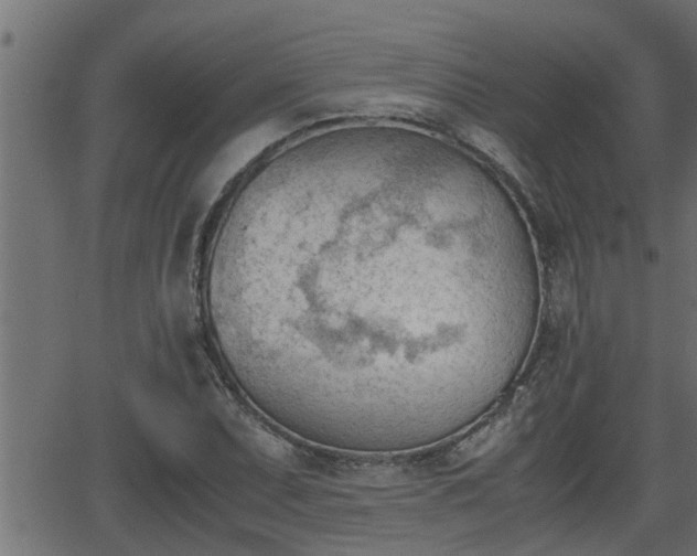 X0000062871071200601171415