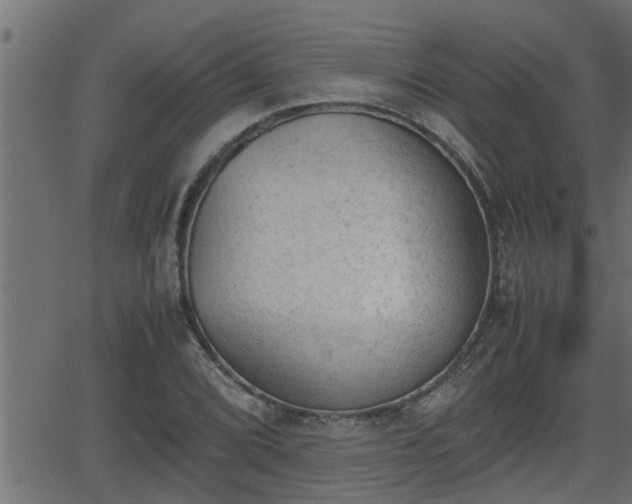 X0000062871072200601171415