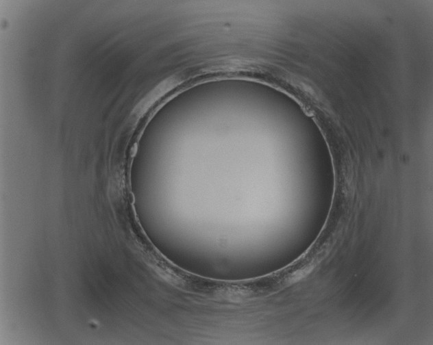 X0000062871073200601171415