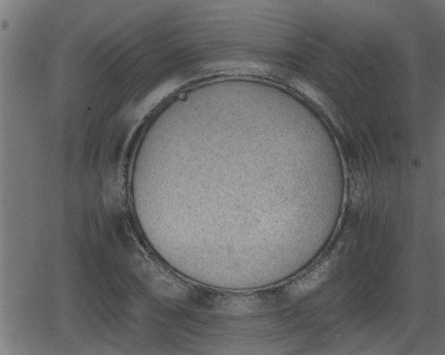 X0000062871074200601171415