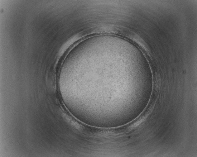 X0000062871075200601171415