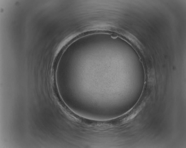 X0000062871077200601171415