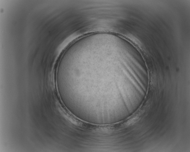 X0000062871078200601171415