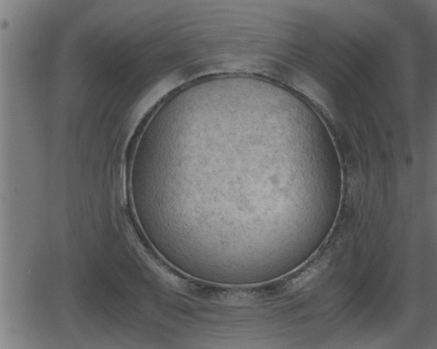 X0000062871079200601171415