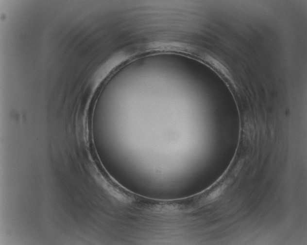 X0000062871082200601171415