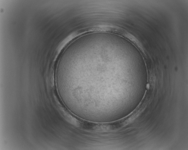 X0000062871083200601171415