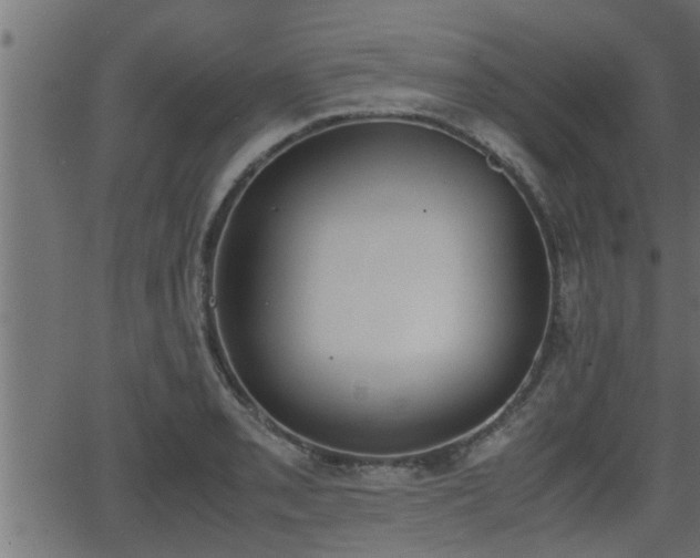 X0000062871085200601171415