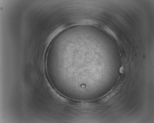 X0000062871087200601171415