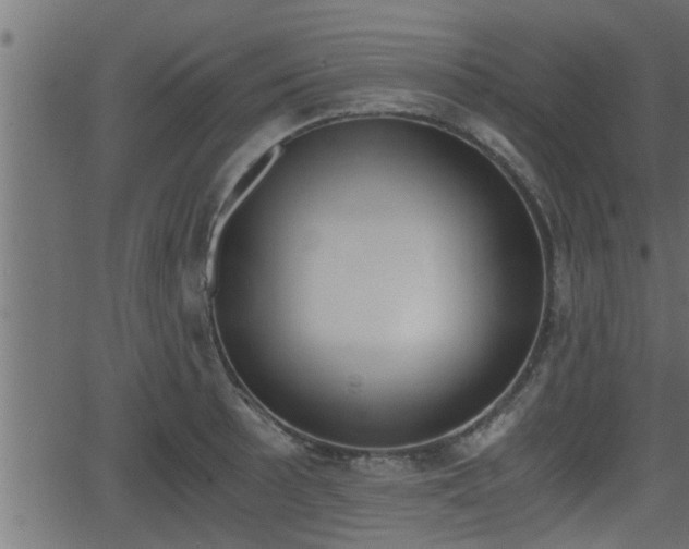 X0000062871089200601171415