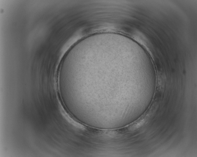 X0000062871090200601171415