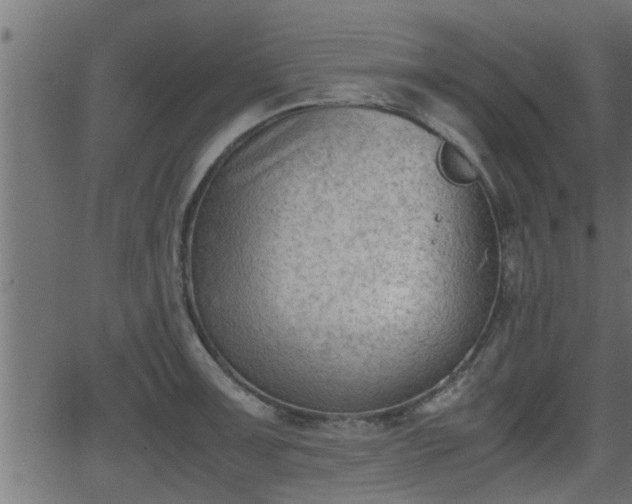 X0000062871091200601171415