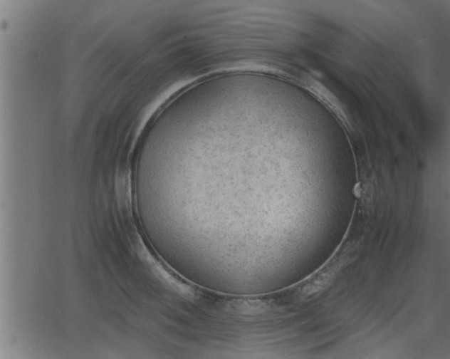 X0000062871092200601171415