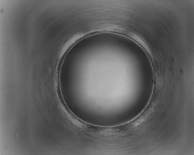 X0000062871093200601171415