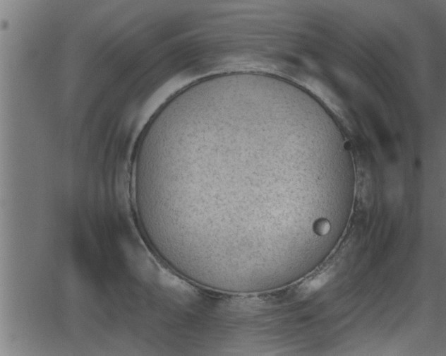 X0000062871094200601171415