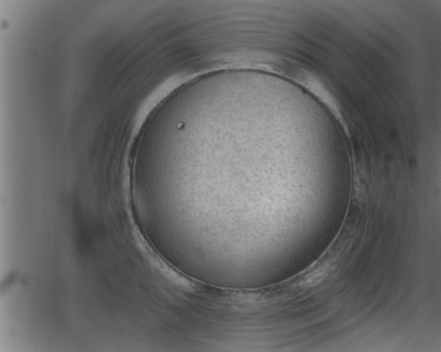 X0000062871096200601171415