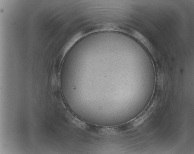 X0000062871097200601171415