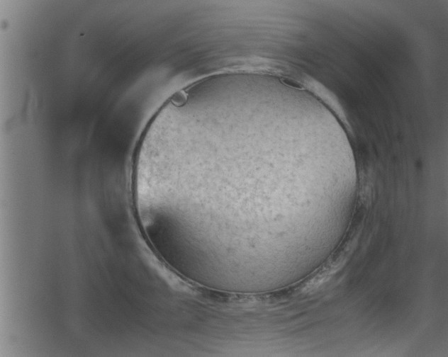 X0000062871099200601171415