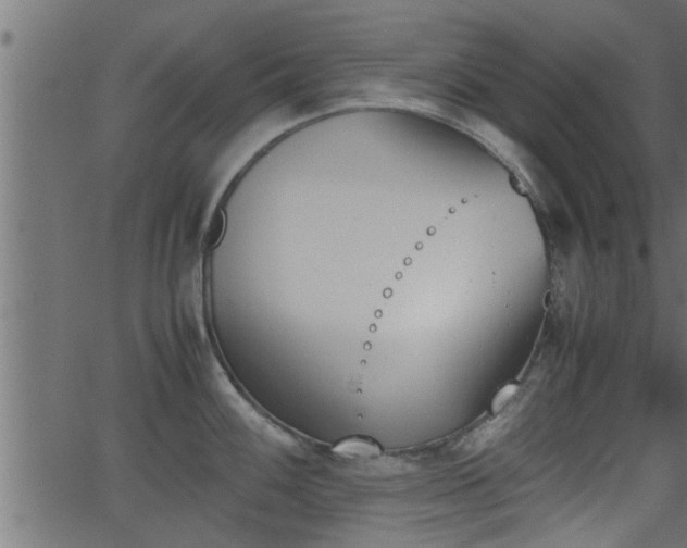 X0000062871100200601171415