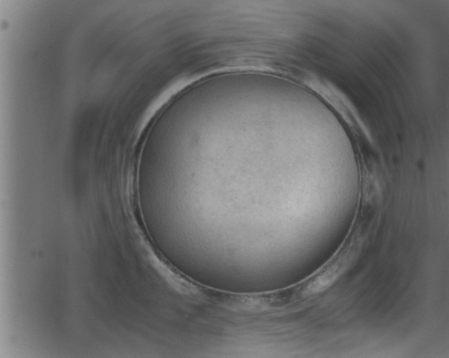 X0000062871101200601171415