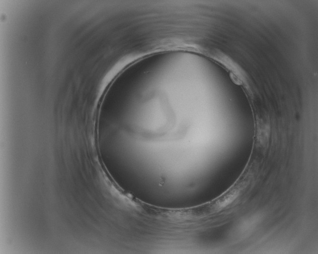 X0000062871102200601171415